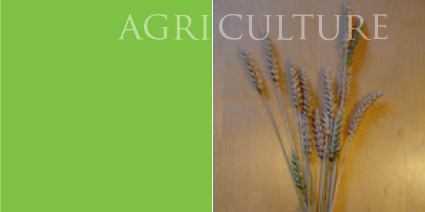 Agriculture